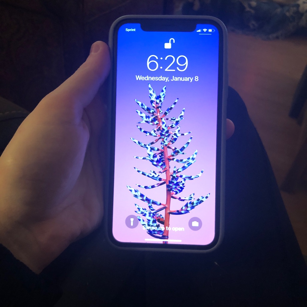 Iphone X